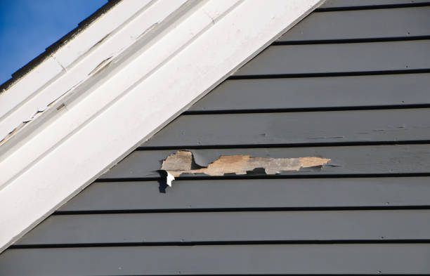 Best Furniture Removal  in Wilsonville, OR